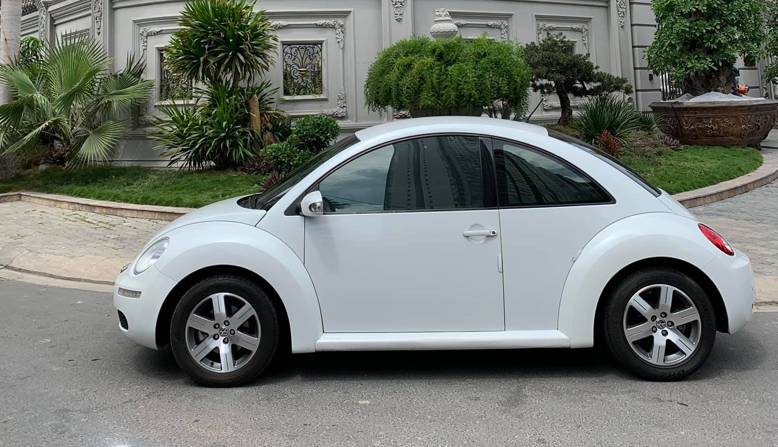 7 Facts About the Volkswagen Beetle  Auto Trends Magazine